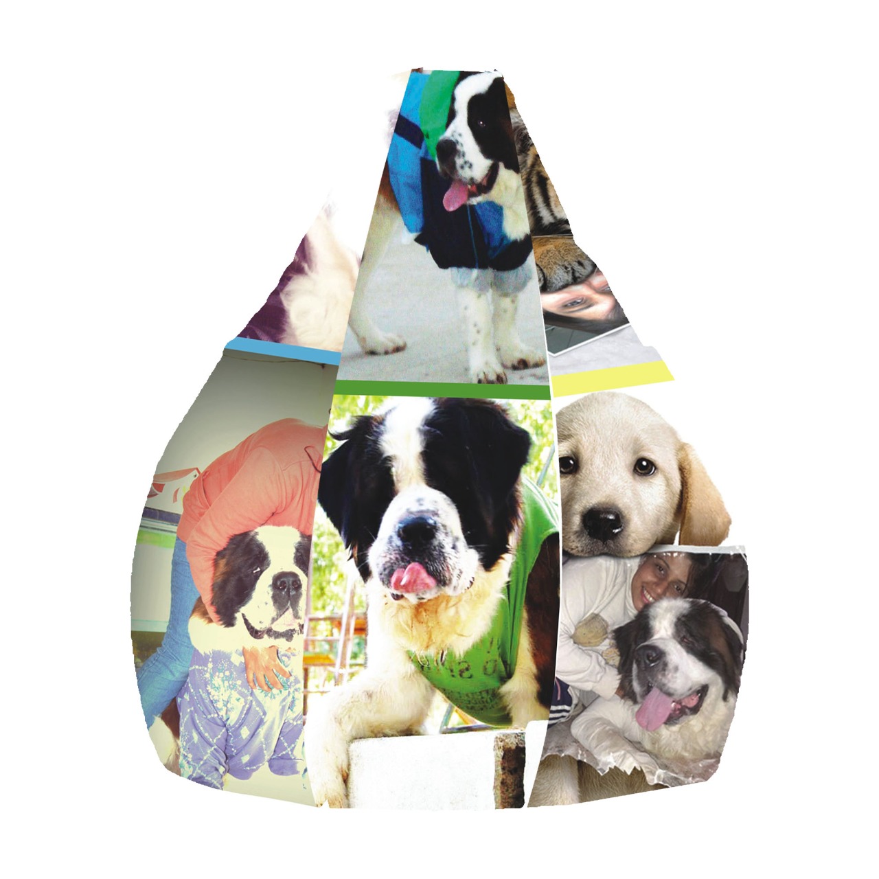 ORKA Digital Printed Personalized Dog Theme  
